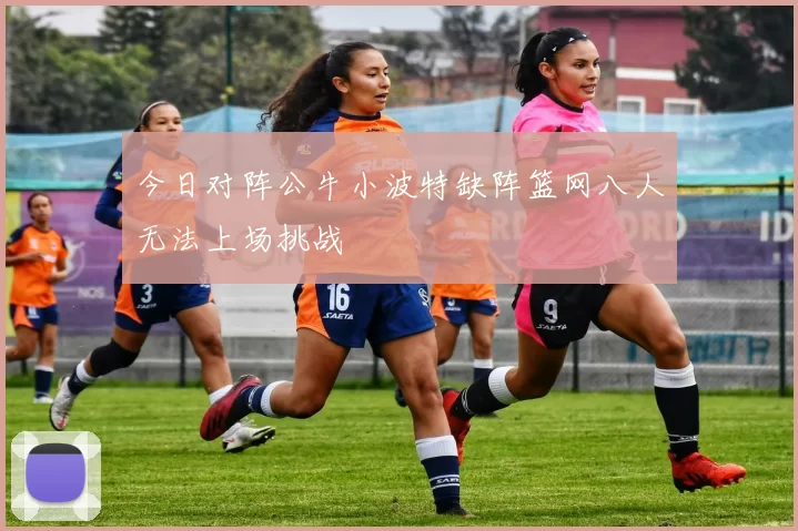 今日对阵公牛小波特缺阵篮网八人无法上场挑战